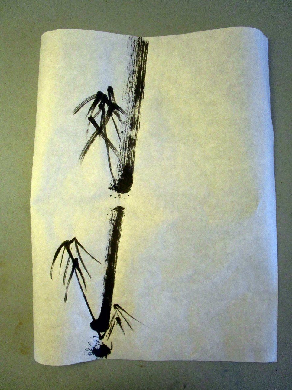 17547007_1609615592396963_317632204126113776_o